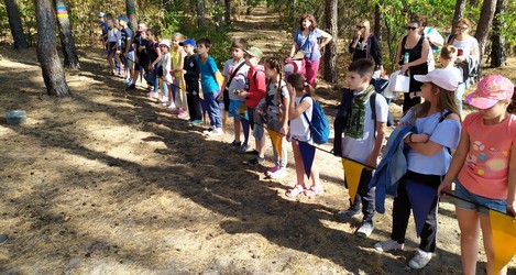 День здоровья в лесу с одноклассниками