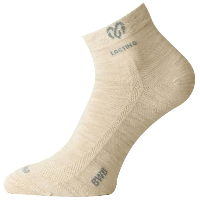 Носки Lasting BWA от магазина Мандривник Украина
