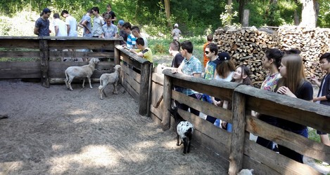 Игра для старшеклассников на природе