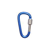 Карабін Mayster FIX LF-SCLOCK-D-RD-6mm, 6х62 мм